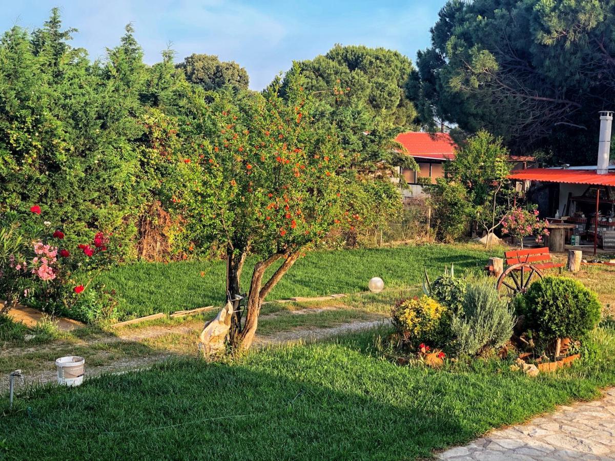 Villa Ivonnis Garden Mesimvria  Exterior foto