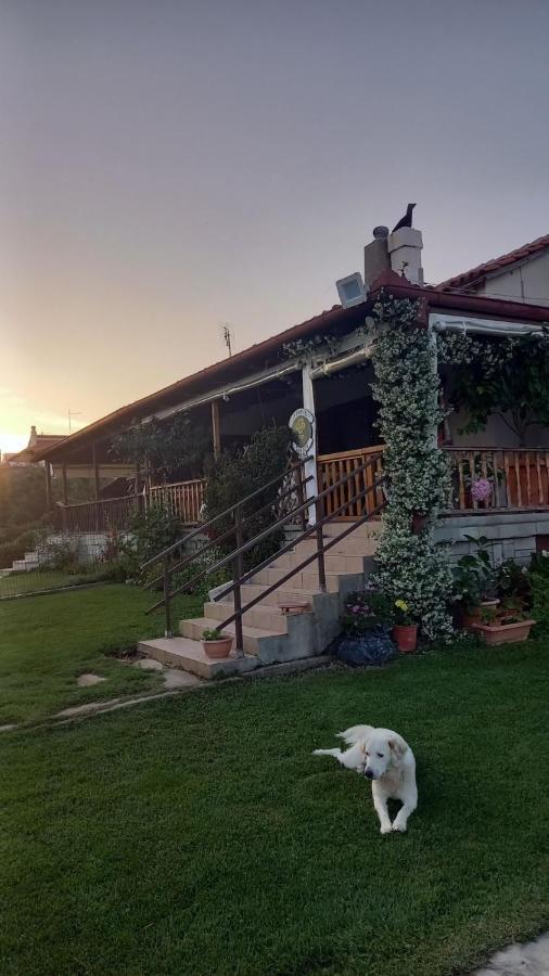 Villa Ivonnis Garden Mesimvria  Exterior foto