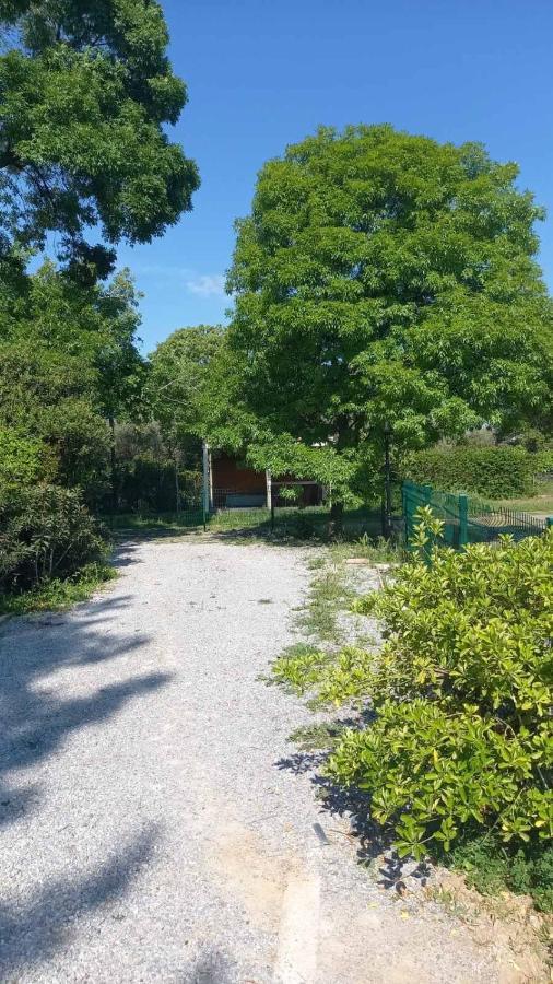 Villa Ivonnis Garden Mesimvria  Exterior foto