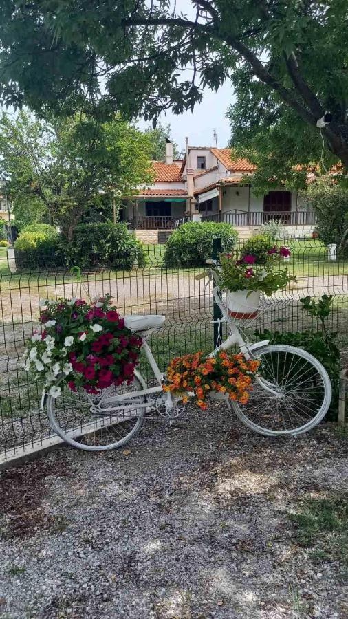 Villa Ivonnis Garden Mesimvria  Exterior foto